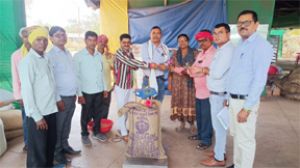  दलहन तिलहन की भी सरकार समर्थन मूल्य पर कर रही खरीदी