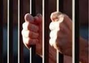  एनडीपीएस पिट एक्ट के तहत 54 आरोपी निरूद्ध, संभागायुक्त श्री महादेव कावरे ने जारी किए आदेश