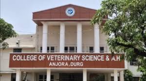  केन्द्रीय वीर्य संग्रहालय अंजोरा हेतु आवश्यक सामग्री क्रय के संबंध में सूचना