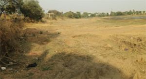  बघमरा में ग्रामीणों द्वारा किया जा रहा है रेत का उपयोग, नही हो रहा है रेत का अवैध उत्खनन