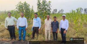  रेशम खेती से आय बढ़ाने का अवसर, किसानों को मिलेगा लाखों का अनुदान