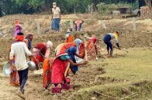  मनरेगा के तहत छत्तीसगढ़ को बड़ी सौगात : भारत सरकार से 1333 करोड़ रुपए स्वीकृत, 212 करोड़ की मजदूरी राशि का भुगतान