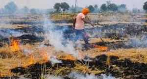  प्रदूषण मुक्त खेती की ओर जिला प्रशासन की पहल
