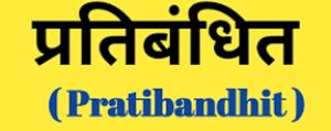  रायपुर जिले के व्यस्त मार्गों पर रैली और जुलूस पर 2 महीने का प्रतिबंध