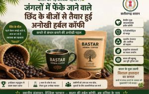  बस्तर की नई वैश्विक पहचान : जंगलों में फेंके जाने वाले छिंद के बीजों से तैयार हुई अनोखी हर्बल कॉफी