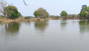 नहरों से सूखते तालाबों में जलभराव : &rsquo;4755 तालाब हुए लबालब&rsquo;