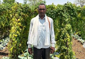   सफलता की इबारत: वाटरशेड योजना ने बदली किसान छबी लाल की तकदीर