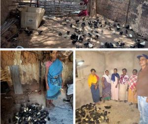 ​नियद नेल्लानार योजना: कच्चापाल जलप्रपात के पास 'इन्द्रावती समूह' की महिलाएँ मुर्गी पालन से लिख रहीं आत्मनिर्भरता की नई इबारत