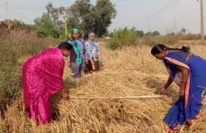  बिहान से जुड़कर आत्मनिर्भर बनीं हुलेसिया वर्मा, बनीं &ldquo;लखपति दीदी&rdquo;