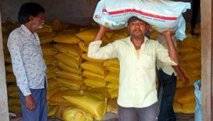  सहकारी समितियों में नियमित रूप से किया जा रहा है खाद, बीज का वितरण 