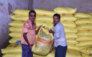 परम्परागत खाद के साथ वैकल्पिक खाद एवं नैनो यूरिया व डीएपी के उपयोग को दिया जा रहा बढ़ावा