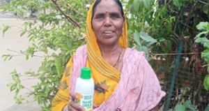  नैनो उर्वरकों के प्रयोग से ग्राम उतई की महिला किसान अंजनी ने गेंहू की फसल में हासिल किया बंपर उत्पादन, लागत घटने से बढ़ी आमदनी