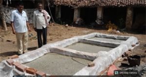  जिले में नील-हरित काई उत्पादन और उपयोग हेतु व्यापक अभियान