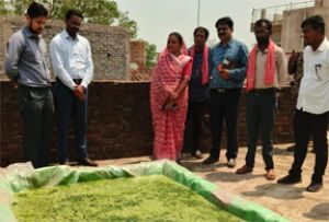  कलेक्टर सिंह ने किया नील-हरित काई उत्पादन टांकों का निरीक्षण