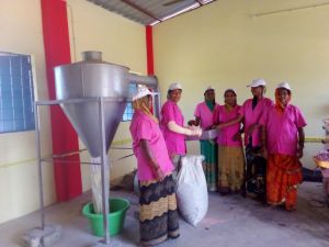 घरेलू महिलाओं से बनीं सफल उद्यमी, राधा कृष्ण महिला समूह की दीदियां बनीं लखपति