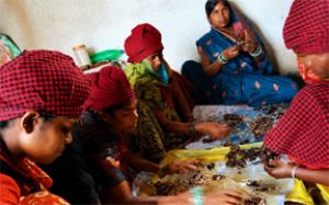 बिहान योजना से लखपति दीदी बनी प्रेम वर्षा