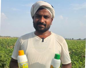नैनो उर्वरकों के उपयोग से सब्जी की फसलों में मिल रहे बेहतर परिणाम, किसानों ने साझा किए अनुभव नैनो उर्वरकों के उपयोग से सब्जी की फसलों में मिल रहे बेहतर परिणाम, किसानों ने साझा किए अनुभव