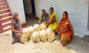  चावल पापड़ उद्योग से आत्मनिर्भरता की ओर बढ़ती हुई ग्रामीण महिलाएं