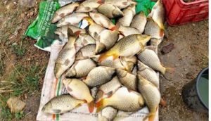  मड़कम देवा ने झींगा पालन को बनाया आत्मनिर्भरता का जरिया
