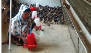  सफलता की नई उड़ान : पारंपरिक मजबूरी से 'लखपति दीदी' बनने तक का सफर