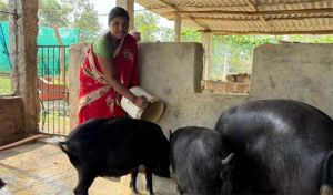  स्व-सहायता समूह से जुड़कर दिलमति बनीं सफल उद्यमी