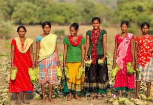  सुकमा के तेंदूपत्ता संग्राहकों को बड़ी राहत  : 42 हजार से अधिक परिवारों के खातों में पहुंचे 40.72 करोड़ रूपए  