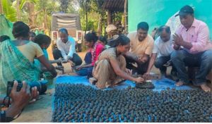  हरित दंतेवाड़ा की दिशा में बड़ा कदम: एक दिन में बने 1 लाख से अधिक सीड बॉल