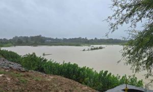 कलेक्टर ने किया कृष्णपुर व बतरा जलाशय का निरीक्षण कलेक्टर ने किया कृष्णपुर व बतरा जलाशय का निरीक्षण