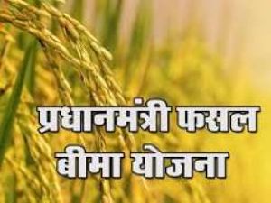 खरीफ 2026 हेतु फसल बीमा कराने की अंतिम तिथि 31 जुलाई खरीफ 2026 हेतु फसल बीमा कराने की अंतिम तिथि 31 जुलाई