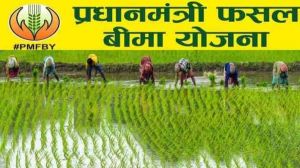 उद्यानिकी फसलों का फसल बीमा कराने की अंतिम तिथि 31 जुलाई तक उद्यानिकी फसलों का फसल बीमा कराने की अंतिम तिथि 31 जुलाई तक