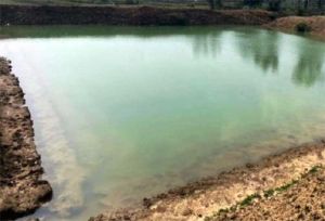  सामुदायिक डबरी निर्माण से बदली कर्रा की तस्वीर