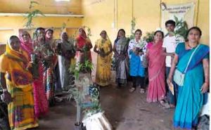   मुख्यमंत्री विष्णुदेव साय के नेतृत्व में पर्यावरण संरक्षण को जनआंदोलन बनाने की अभिनव पहल