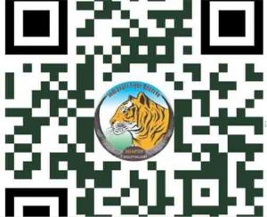  अंतरराष्ट्रीय बाघ दिवस पर होगा 'रन फॉर इंद्रावती' मैराथन का आयोजन