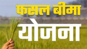 मौसम आधारित फसल बीमा योजना अंतर्गत खरीफ मौसम में फसल बीमा कराने की अंतिम तिथि 31 जुलाई