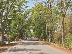   नांदघाट-मुंगेली रोड होगा फोरलेन, राज्य शासन ने मंजूर किए 21.81 करोड़