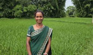  बिहान से आत्मनिर्भर बनीं शकुंतला राजवाड़े, कम लागत की खेती से बढ़ा आय का आधार