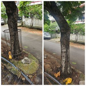 रायपुर जिला प्रशासन के निर्देश पर रायपुर नगर निगम का सभी जोनो में प्रोजेक्ट पुनर्जीवन महाभियान
