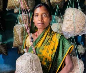  विष्णु के सुशासन में गांव की बेटियां बन रहीं आत्मनिर्भर