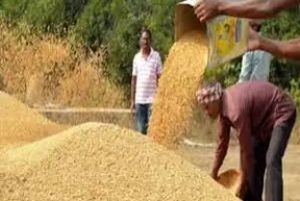  एग्रीस्टेक पंजीयन बिना नही बिकेगा धान