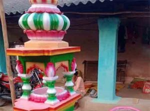  देवगढ़ की रुकमणी ने हुनर को बनाया रोजगार