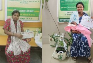 प्रोजेक्ट ग्रीन पालना : पर्यावरण संरक्षण का संदेश, प्रसूता माताओं को हरियाली की भेंट 