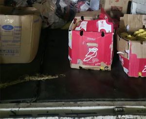  बाढ़ प्रभावितों की मदद के लिए ऑटोमोबाइल डीलर्स एसोसिएशन, चेंबर ऑफ कॉमर्स, कैट ने बढ़ाया सहयोग