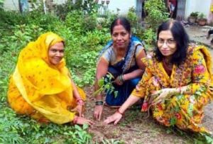  आंगन मिलन सेवा में गूंजा पोषण और सेवा का संदेश, चिरईपानी में रोपे गए मुनगा के पौधे