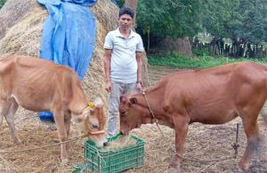 नारायणपुर के रैनू राम की स्वावलंबन गाथा