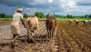  मिट्टी की सेहत सँवारने गांव-गांव पहुंचेगा &lsquo;खेत बचाओ अभियान&rsquo;