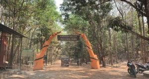 पर्यटकों के लिए कांगेर घाटी राष्ट्रीय उद्यान खुला पर्यटकों के लिए कांगेर घाटी राष्ट्रीय उद्यान खुला