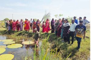  मखाना की खेती से आत्मनिर्भरता की ओर बढ़ रहीं धमतरी की महिलाएं