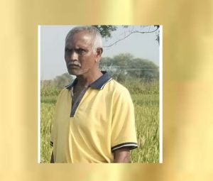 कम जल खपत वाली धान की नई किस्म एमटीयू 1156 एवं 1153 से अधिक उपज – कीट एवं व्याधि के प्रति प्रतिरोधी फसल