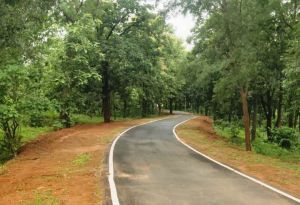   पीएमजीएसवाई से बदला विकास का भूगोल मनेंद्रगढ़-चिरमिरी-भरतपुर  जिले में 