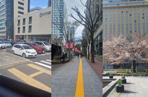 प्रेरक है जापान की अनुशासित जीवनशैली